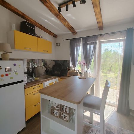 Cattleya Lejlighed Novigrad Istria Eksteriør billede